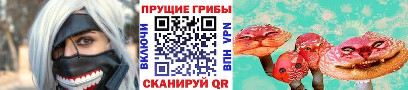 Псилоцибиновые грибы GOLDEN TEACHER Дюртюли
